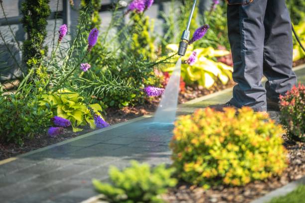 Best Dumpster Area Cleaning  in Mantua, UT